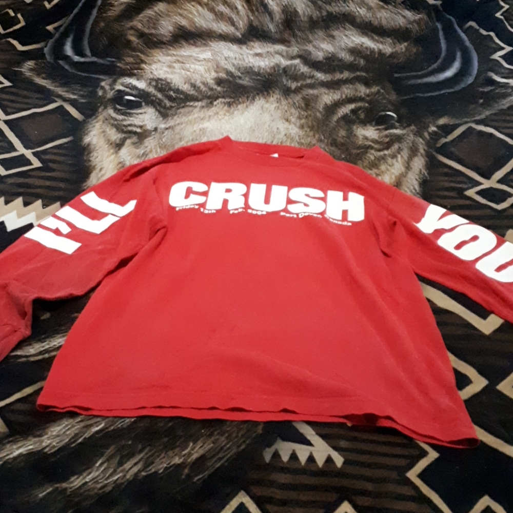 Ladies long sleeve shirt